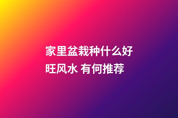 家里盆栽种什么好旺风水 有何推荐